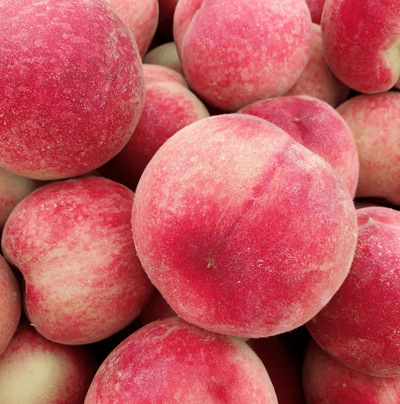 又大又甜!脆桃届"天花板"_桃子