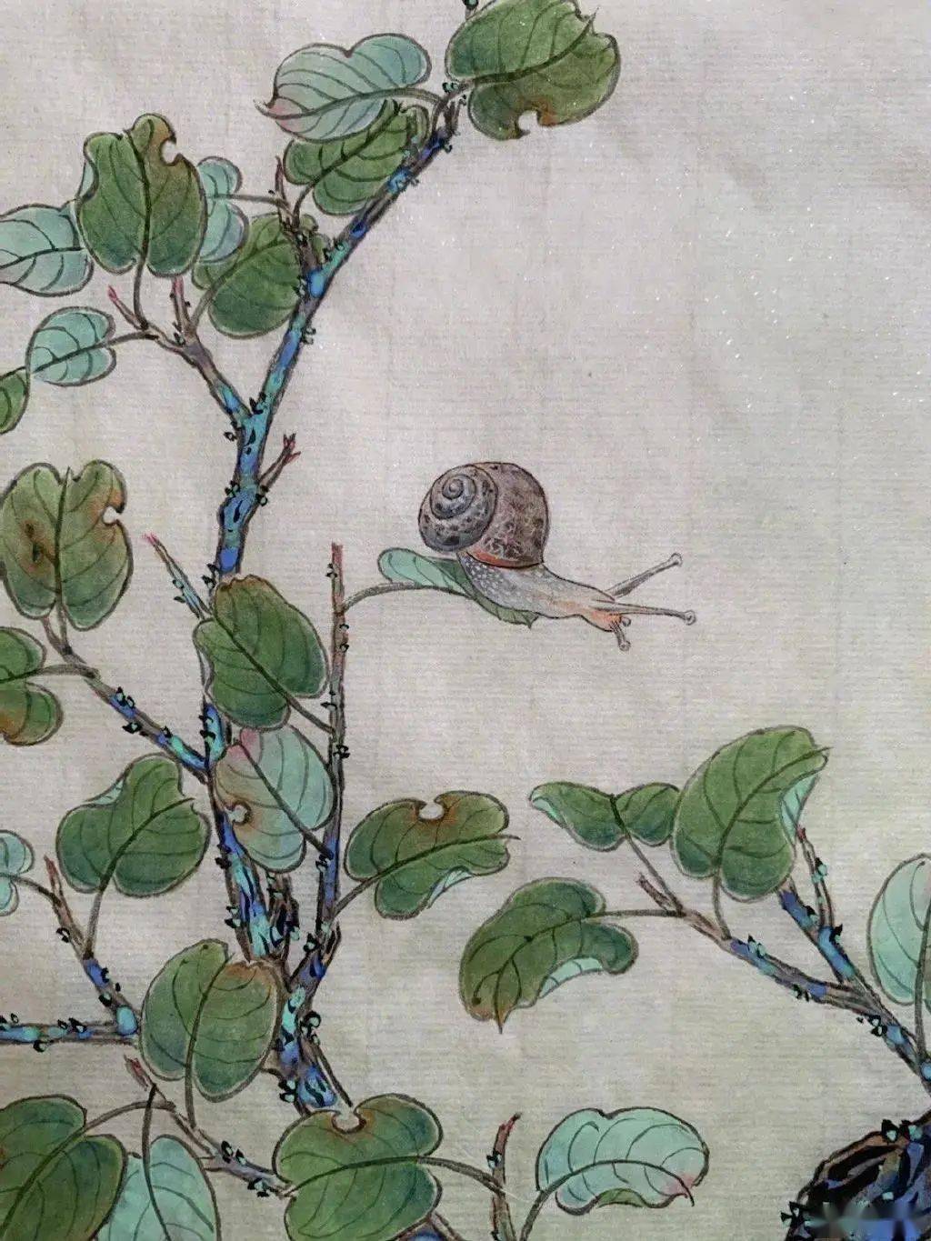 夏雨晒出他的书法和工笔,原来演戏只是他的业余爱好_专业_线条_作品