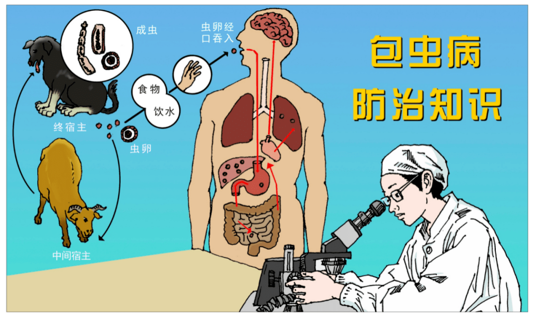 包虫病卡通图片图片