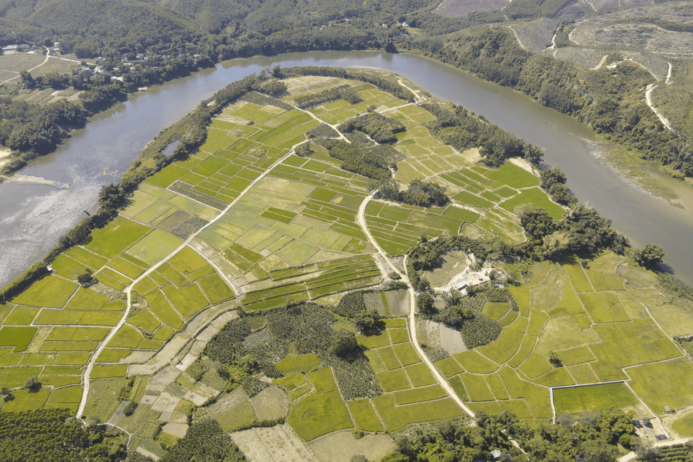 浦北县泉水镇:工业产业,特色农业"双翼齐飞"_发展_养殖业_种植