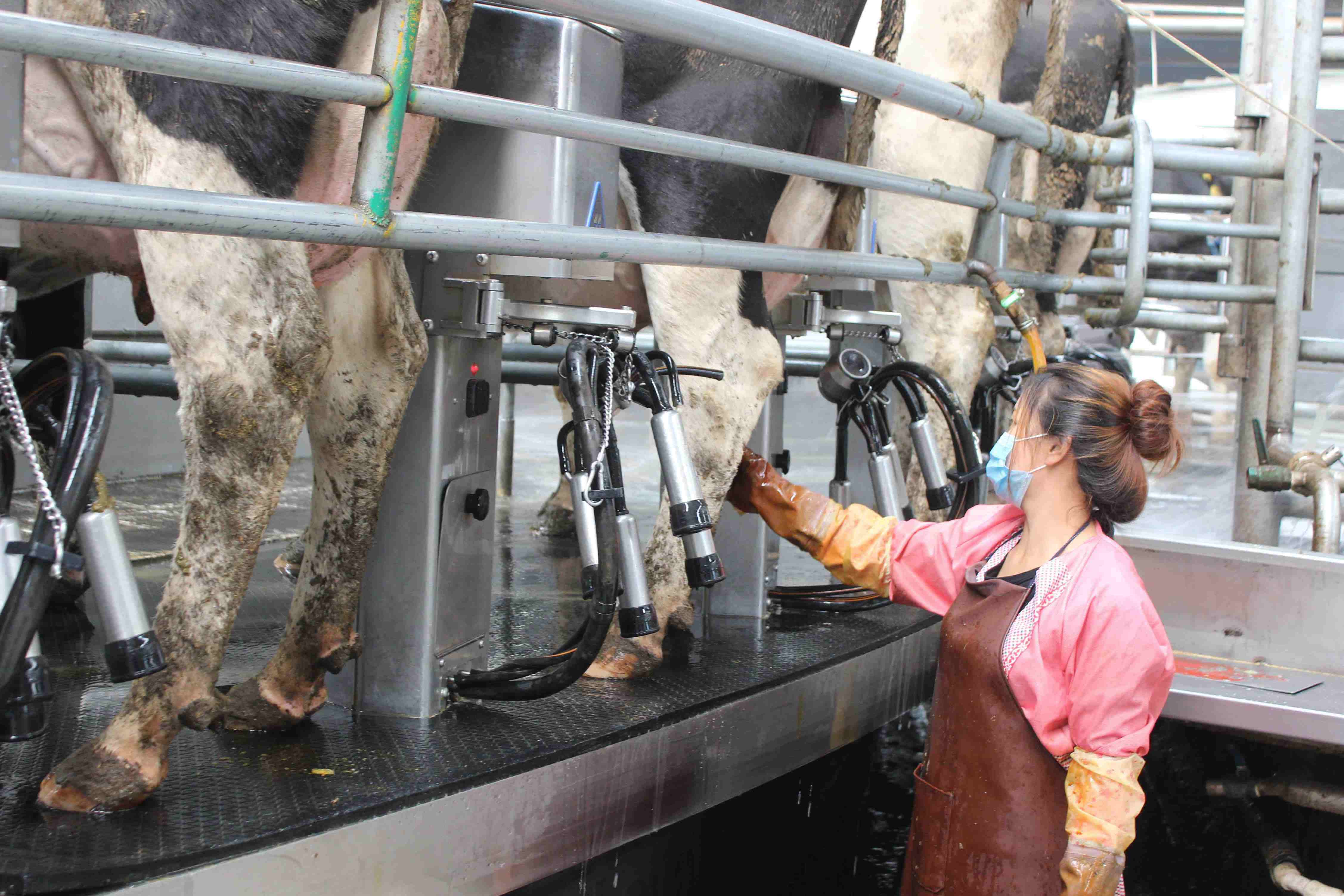 重庆党刊全媒体看甘肃⑤