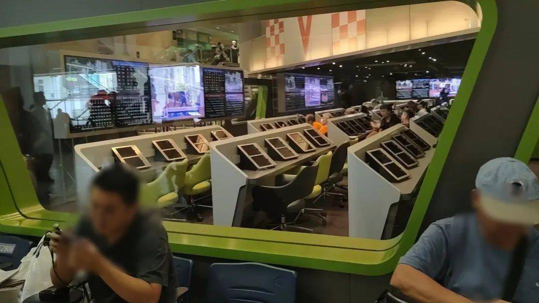 成都人第一次去香港赛马,钱和马都飞了_买马_沙田马场_赛马场