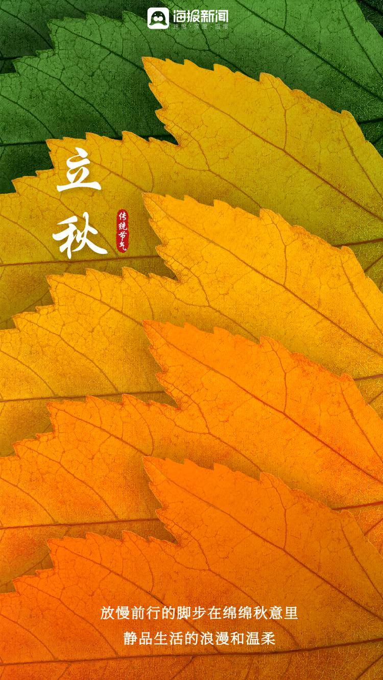 海报图品|立秋:连晴不知夏去,叶落方知秋至_高清_图片_新闻