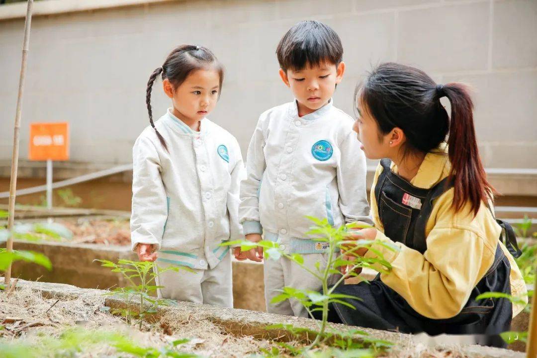 居然可以这样（把假的验孕棒藏起来）验孕棒被老爸人发现了怎么办 第6张