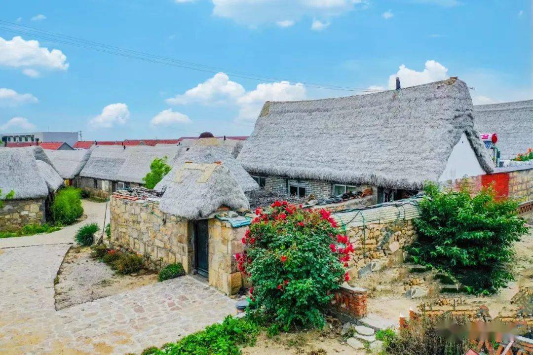 荣成这条旅游线路获文旅部推介,你一定要来看看!_草房_海洋_动物
