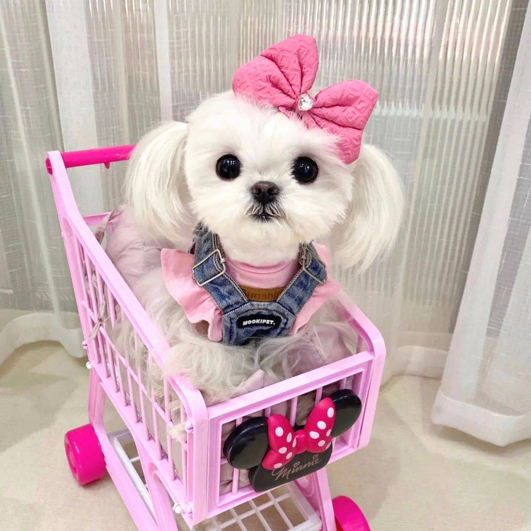 头像 | 超级nice的微信头像 先收藏一波