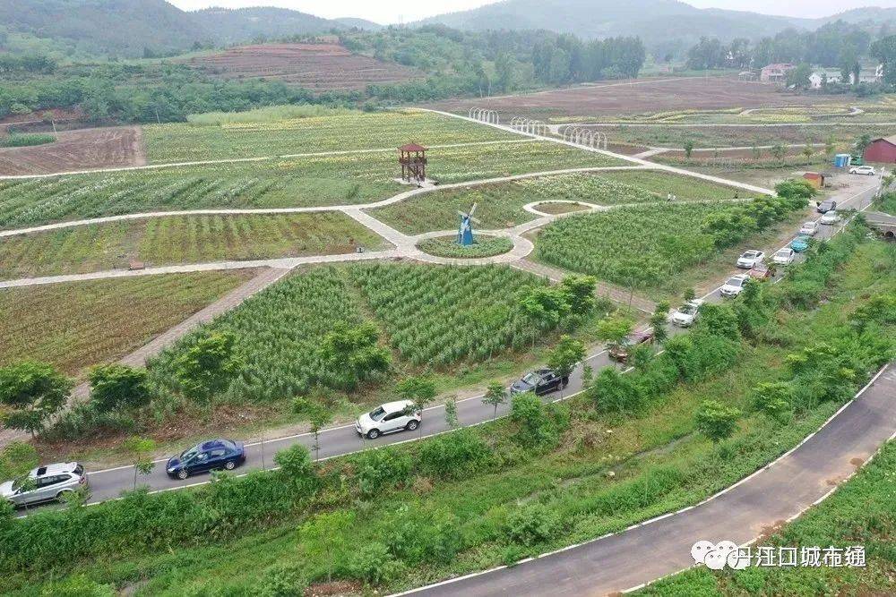 襄阳杏花村度假山庄图片