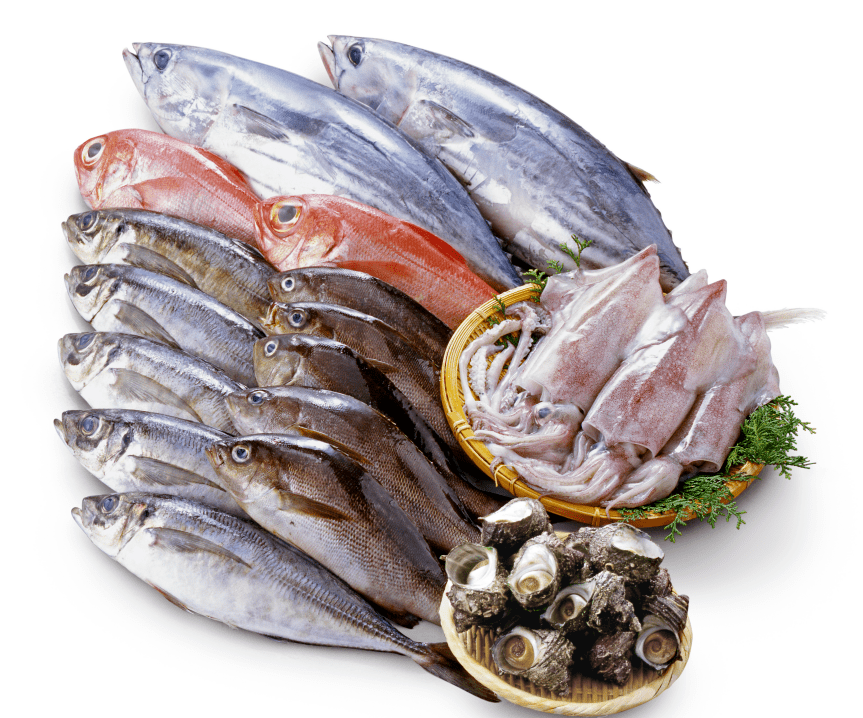 性鱼类,例如金枪鱼(特别是大目金枪鱼和蓝鳍金枪鱼),金目鲷,鲨鱼,剑鱼