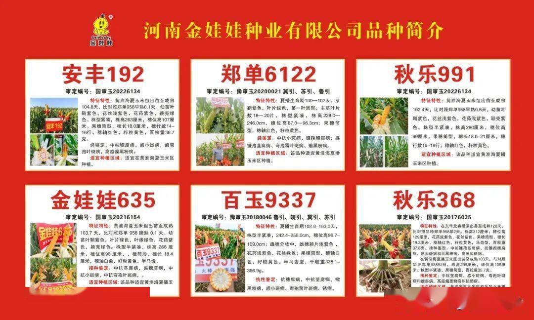 秋乐种业多个玉米新品种揭开神秘"面纱",用"芯"缔造行业先锋_育种