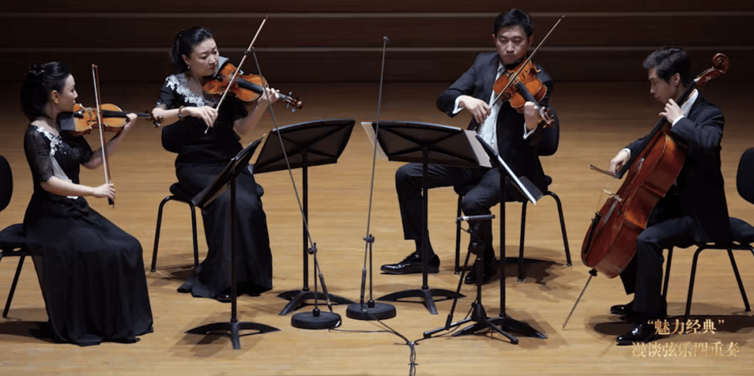 提琴家族如何分辨?中国交响乐团的专业老师告诉你!_音乐_节目