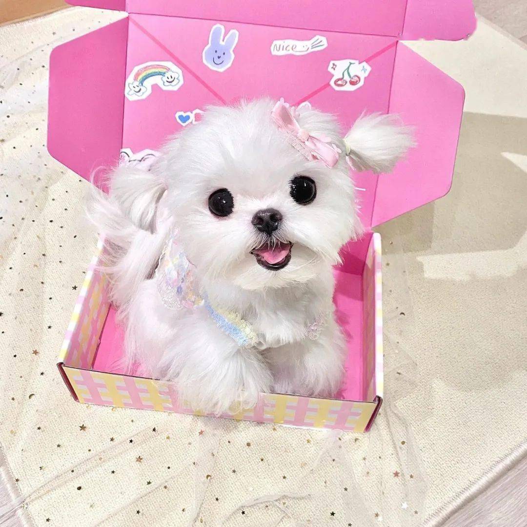 头像| 超级nice的微信头像 先收藏一波