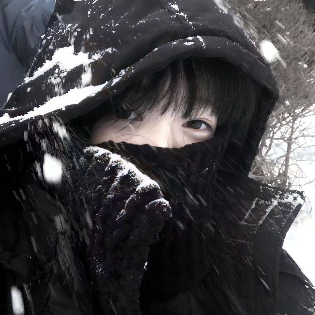 今日头像 | 沉醉于秋日繁华!