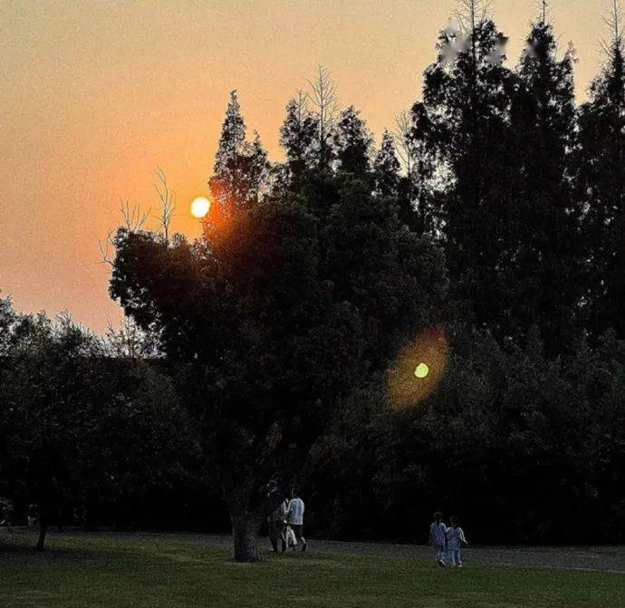 文案| 公布恋情的官宣文案_晚霞_爱意_微风