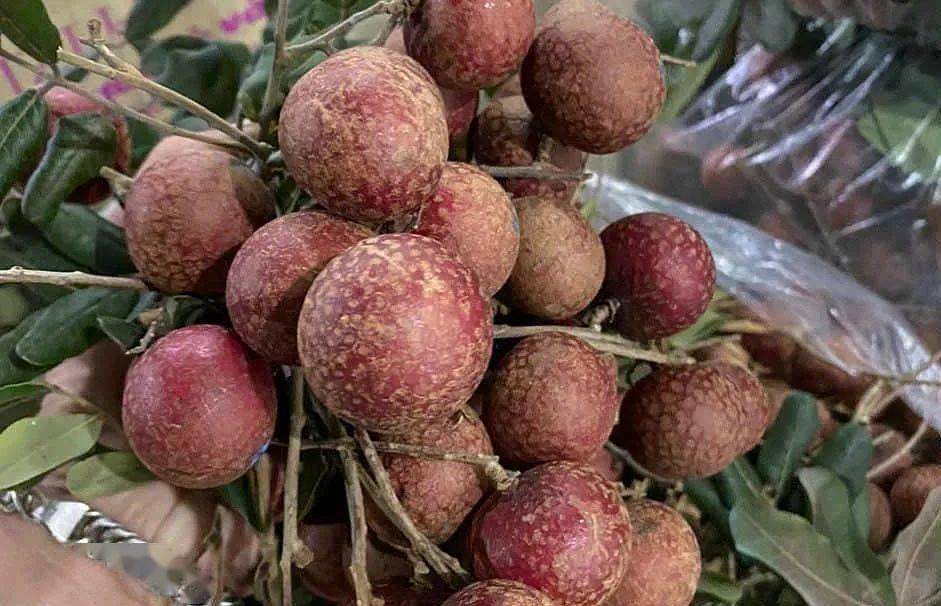 近几年,越南芹苴省一种稀有的紫皮龙眼零售价格一度高至25万越南盾