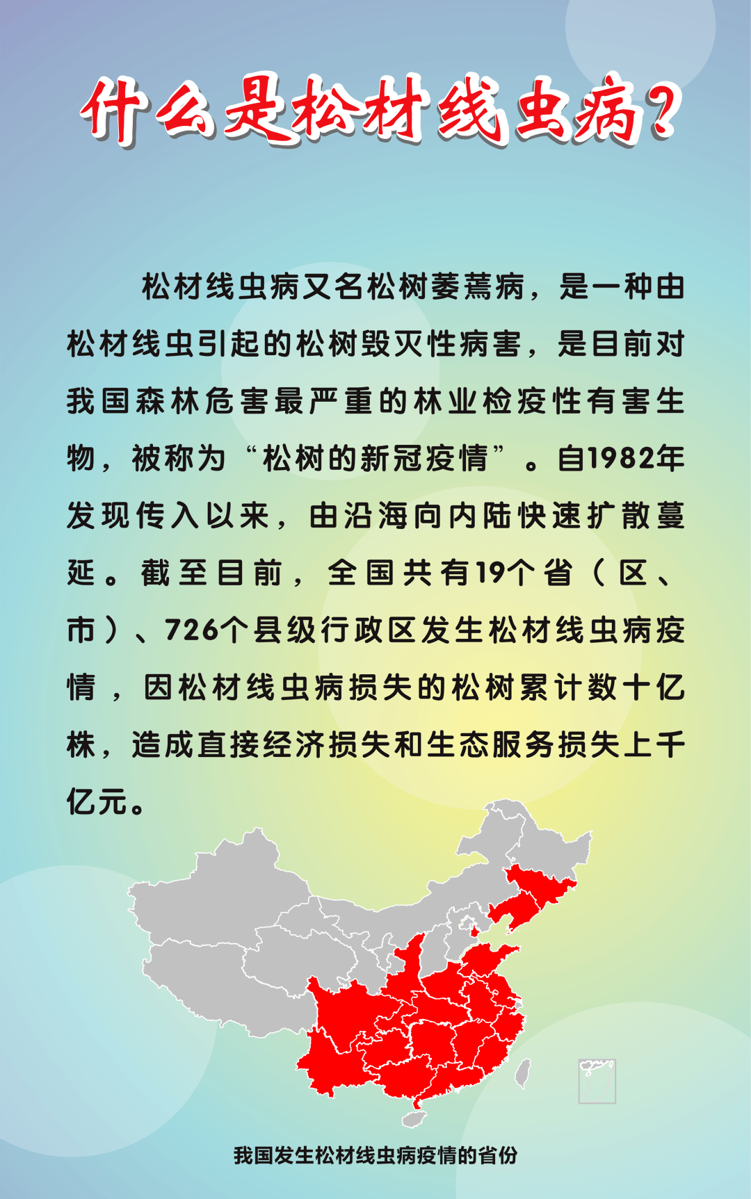 科学防控松材线虫病,守护南区街道"一片绿"_处理_防治_进行