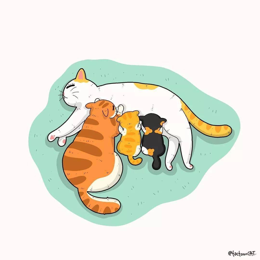 沙雕逗比的猫咪插画,每一张都让你笑到肚子疼!_santoso_rocky_作品