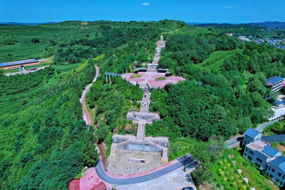 来宜君 邂逅指纹梯田 穿越梦幻花海_旅游_宜君县_发展