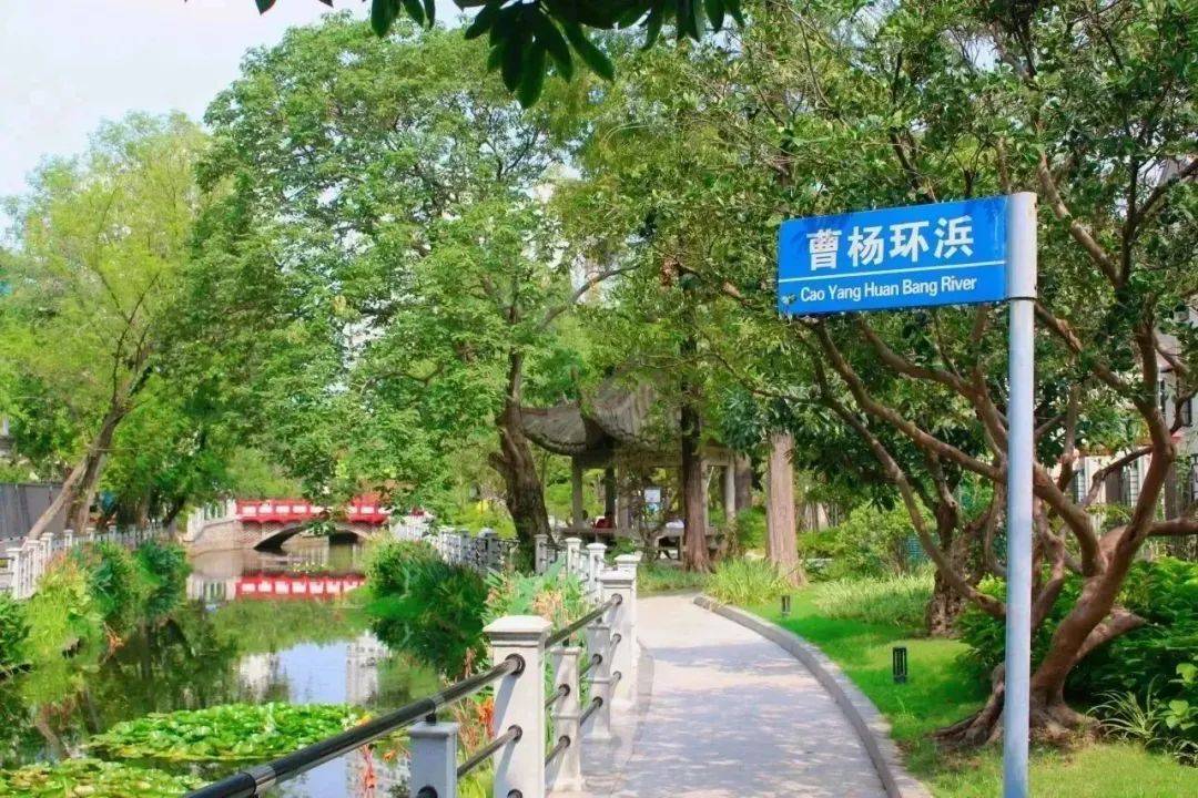 绿色美景自然天成,科技赋能低碳生活……普陀曹杨街道把"绿色"刻进"