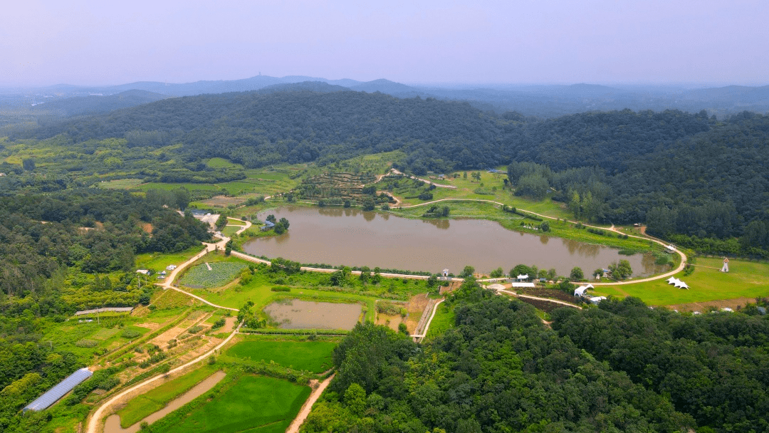 肥西这些地方被央媒省媒聚焦_紫蓬镇_发展_融合