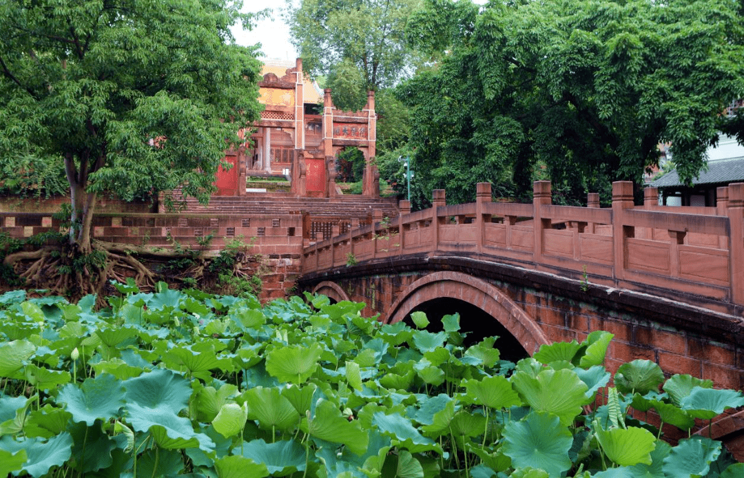 好吃好耍在"嘉"乡 | 100元逛海棠街道_乐山_冰粉_地址