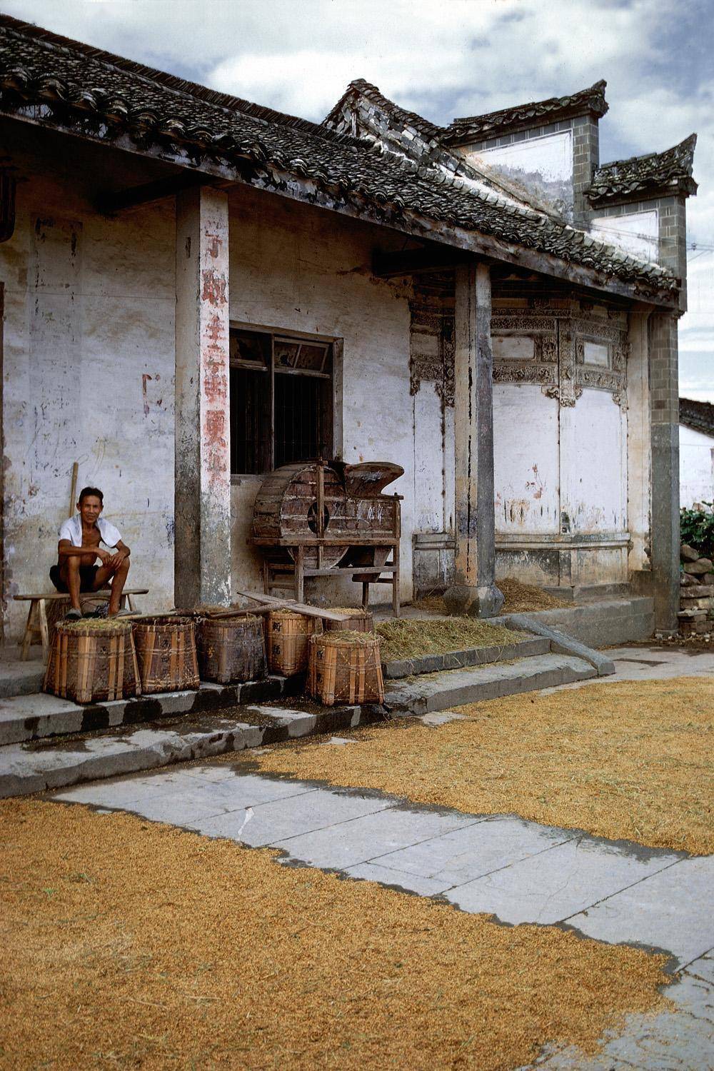 八十年代的田园风光,为何难以忘怀!