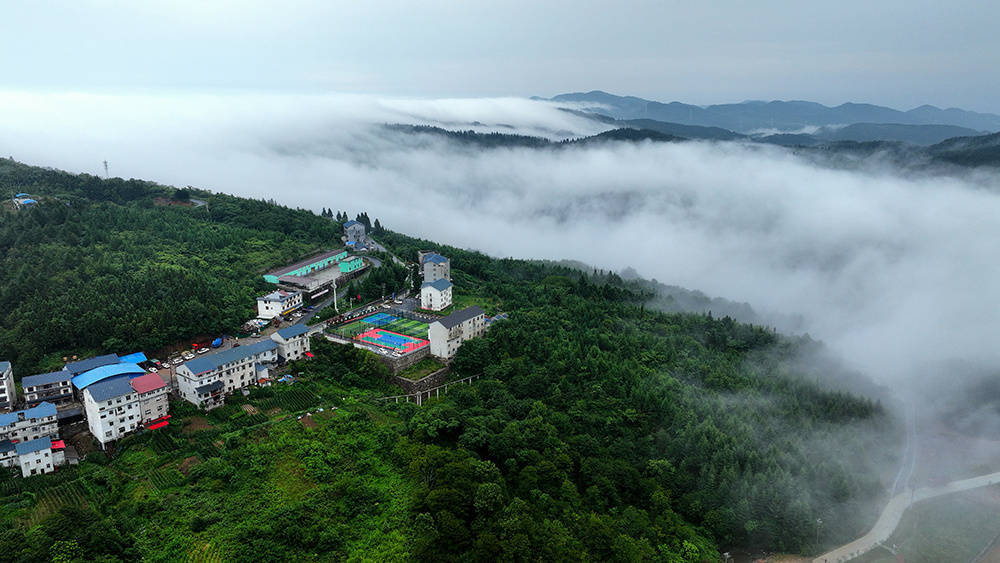巴东:夏日绿葱坡大美风光_巫山县_绿葱坡镇_气候