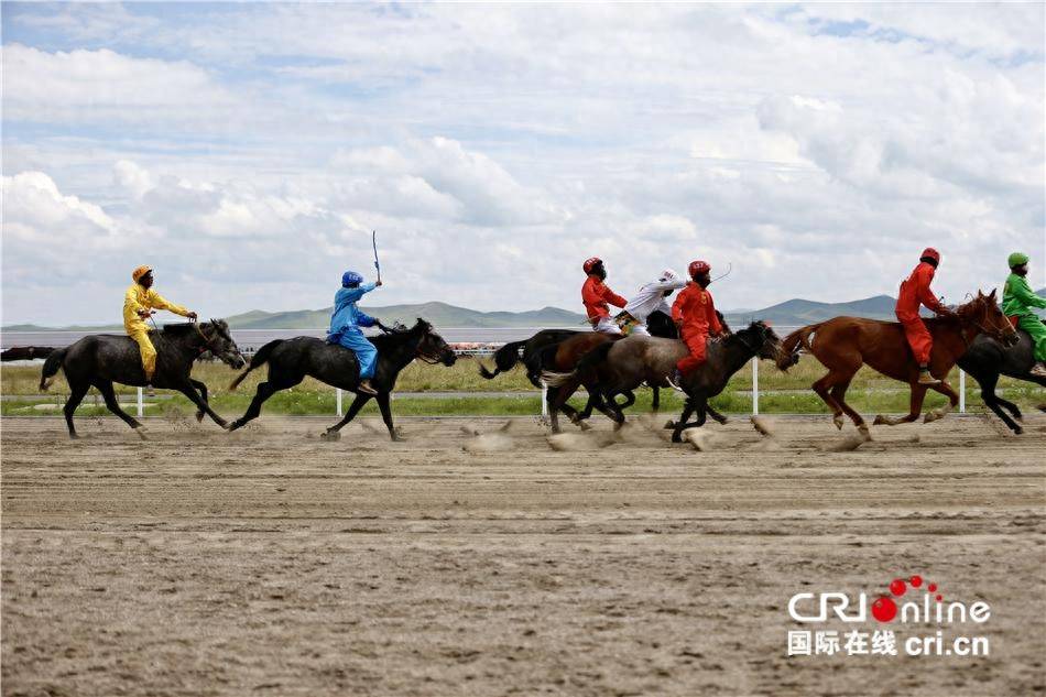 你追我赶 (摄影:王毅)台湾青年在玛曲县格萨尔赛马中心合影台湾青年与