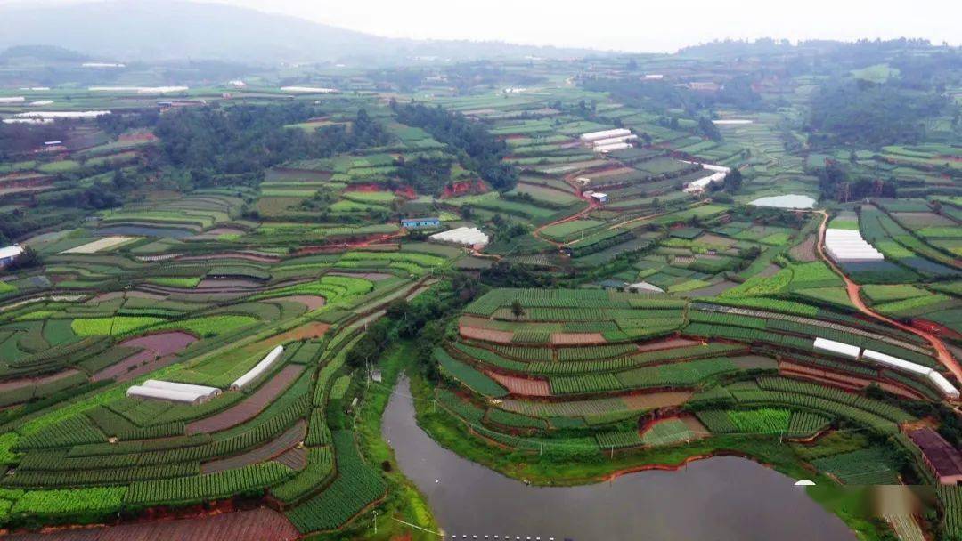通海县丨这个村的生态保护"靓"出圈_寨村_美乡村_山区