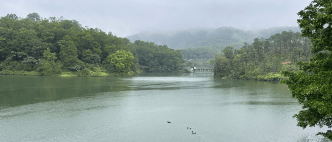 叱石风景区_风景区石碑图片_杜阮叱石风景区泉水