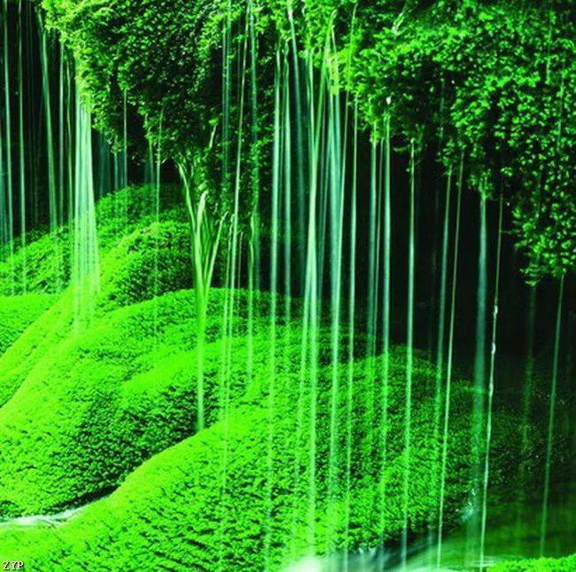 美的让人窒息的景色!