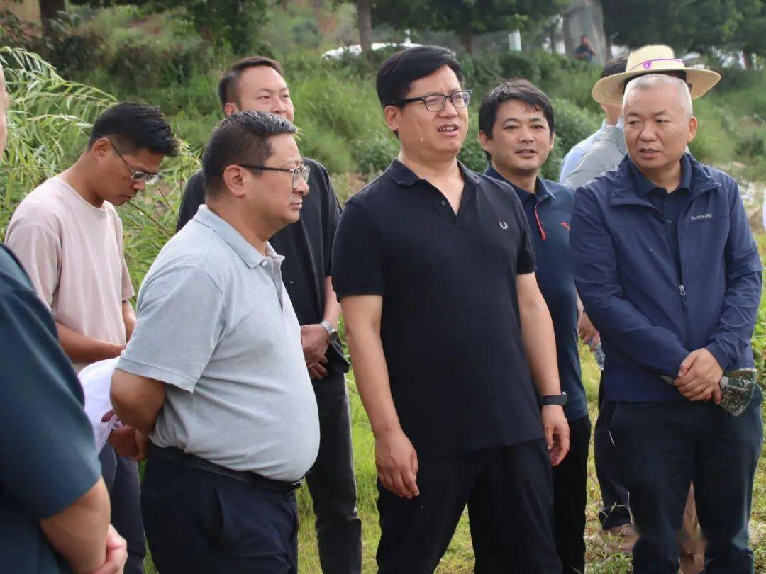 一周要闻 | 大理州,弥渡县等发布最新人事任免