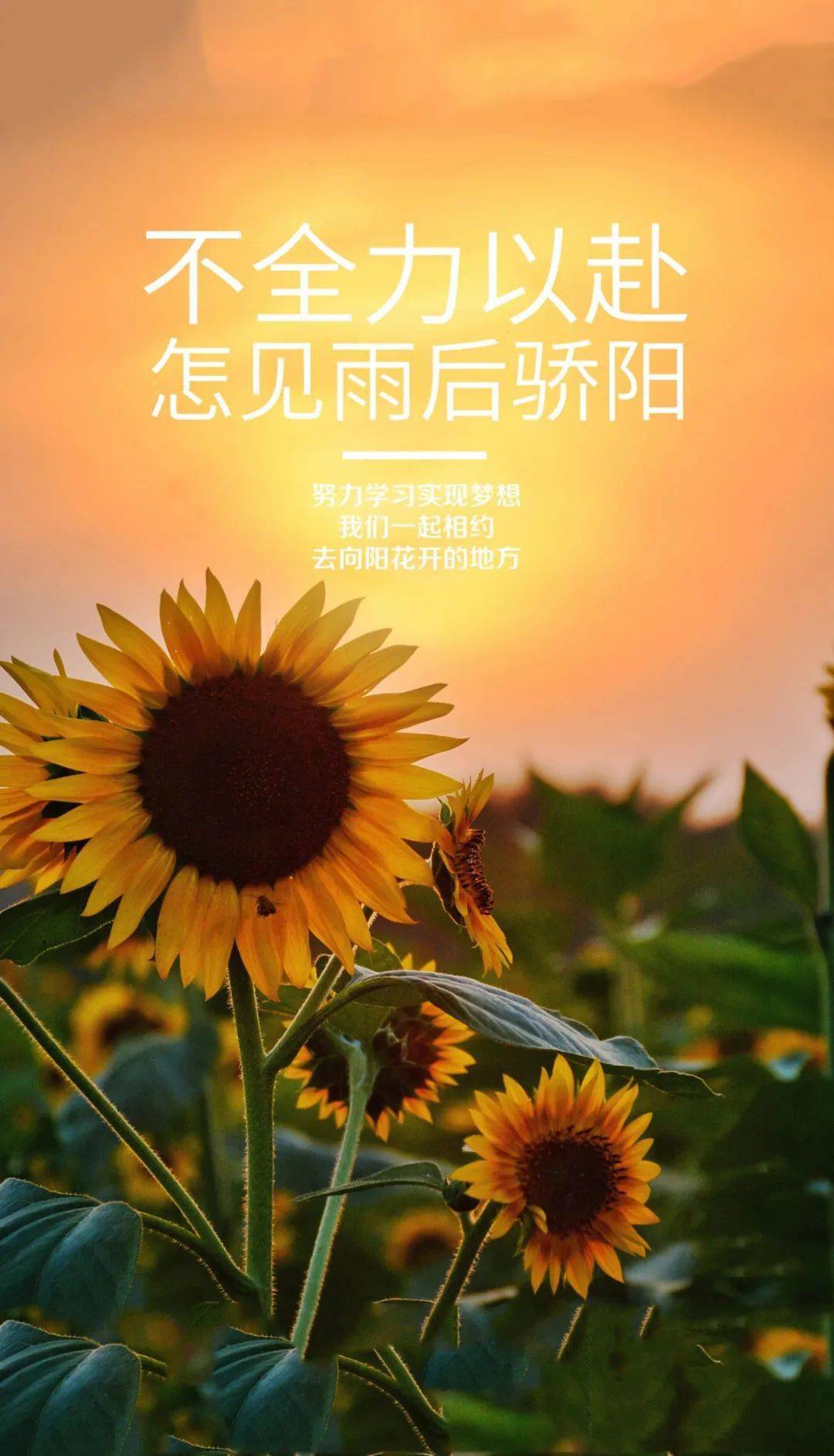 8月21日早安正能量精美语录句子:这个世界上最能给人安全感的,除了