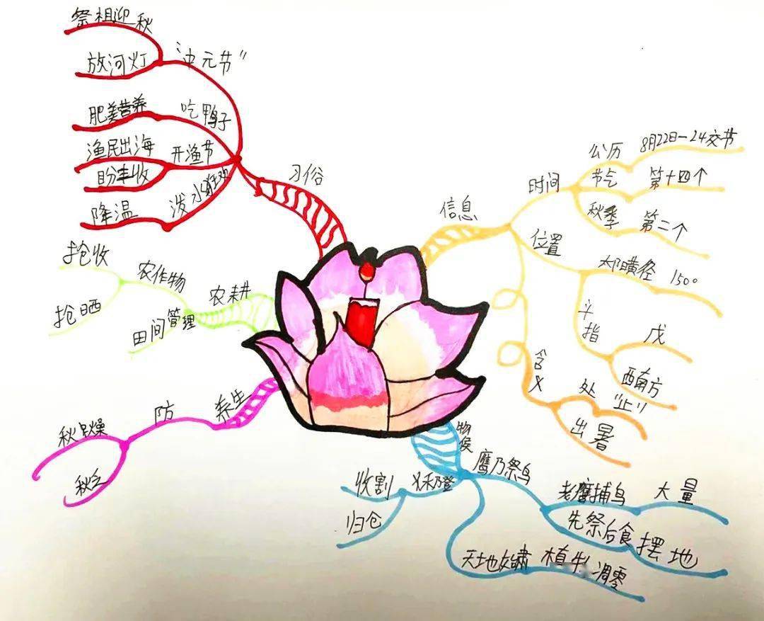 处暑思维导图图片大全图片