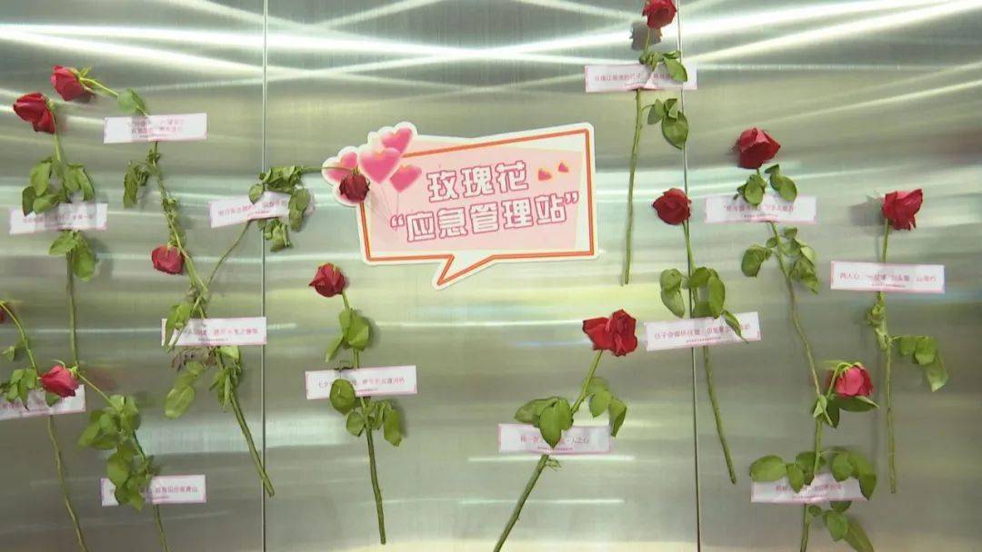电梯内布置"玫瑰花应急站"营造浪漫的气氛.