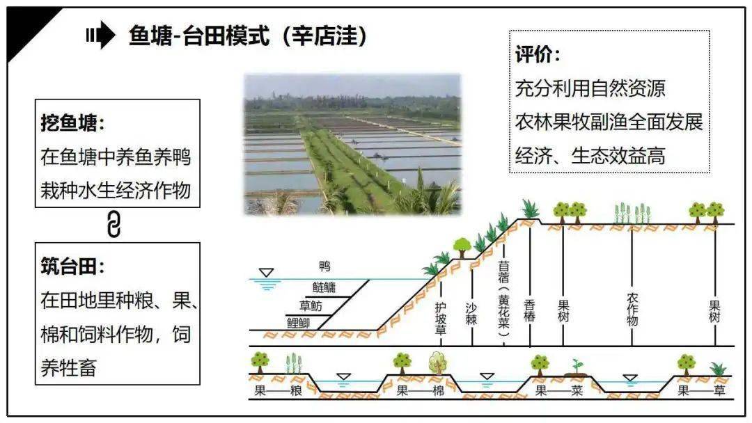 欣赏演唱会,学习地理间作,套种,垄作,轮作与休耕