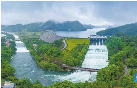 中央省市媒体齐关注→_白沙溪_琅琊镇_金华