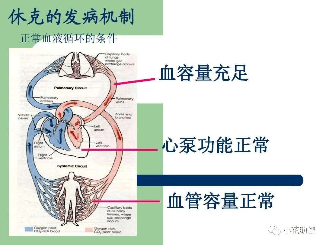 创伤失血性休克的应对及护理措施_监测_治疗_组织
