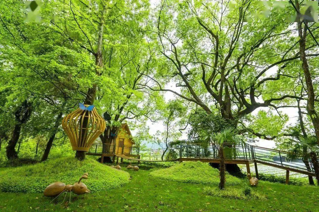 绿道起止地点:丽水莲都区新治河与s222省道交汇处至石牛温泉酒店假日