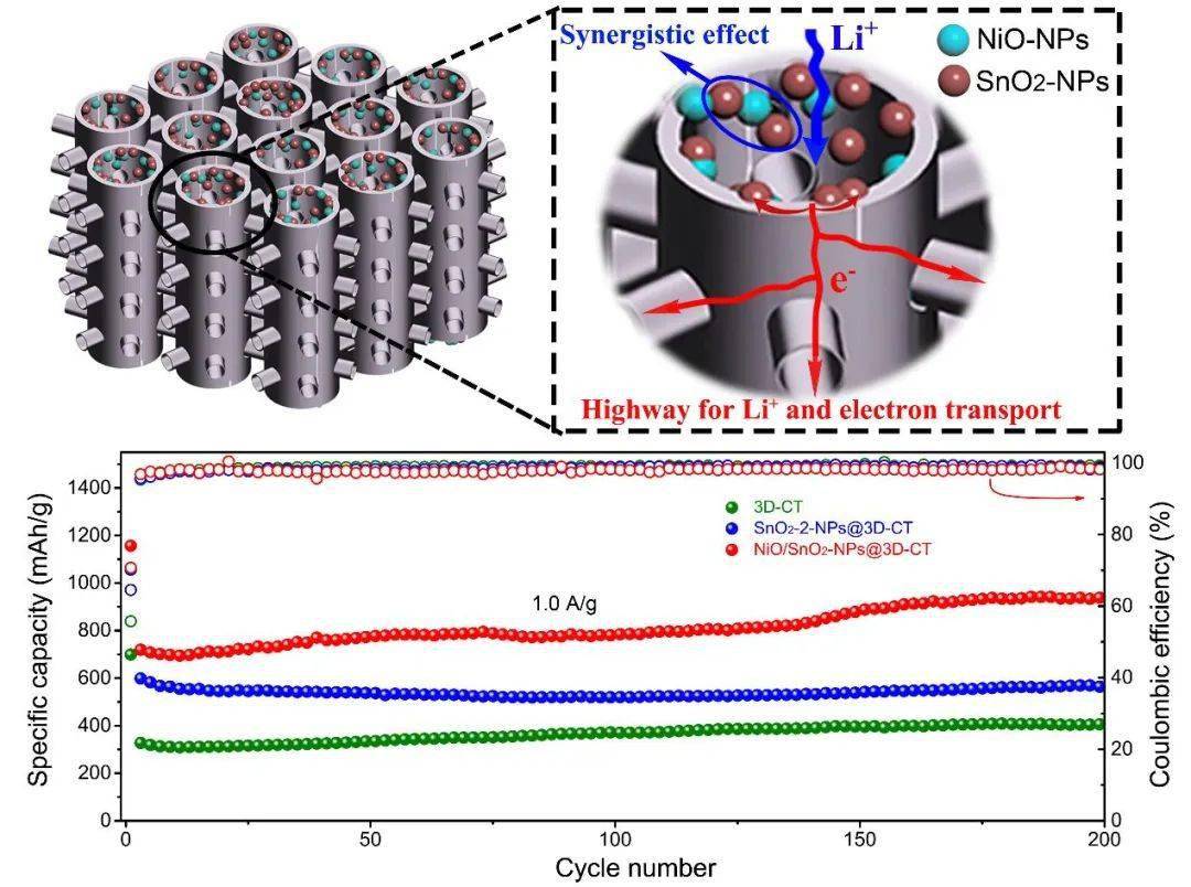 SCMs|提高锂离子电池负极的电化学储锂容量和倍率性能—三维互连碳管-NiO