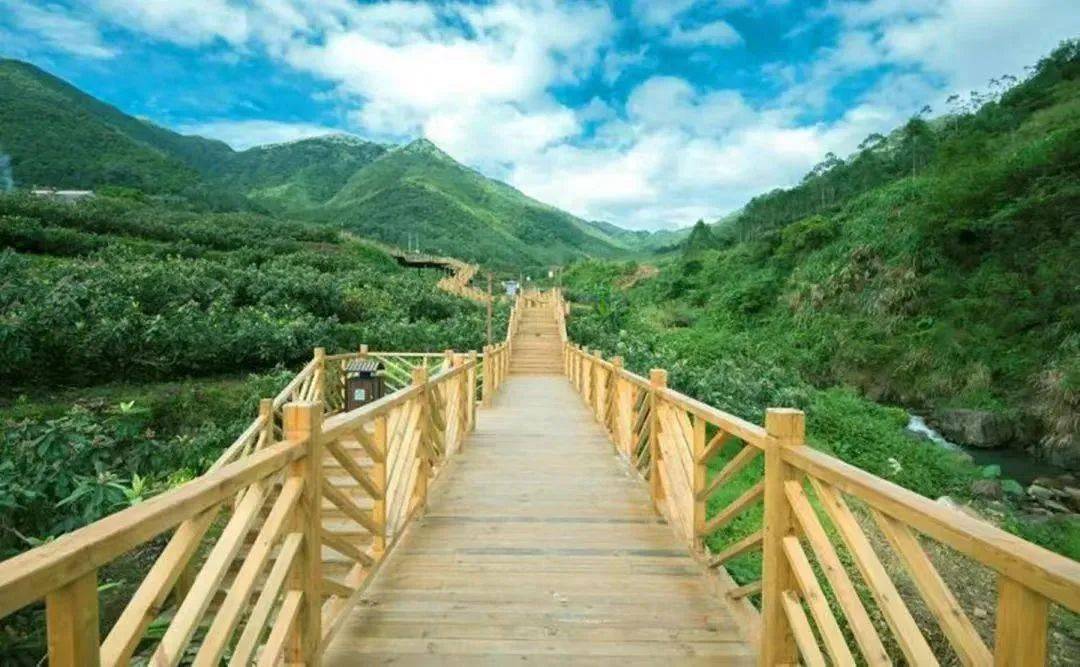 在云霄,邂逅秋日的诗意!_乌山_红树林_have