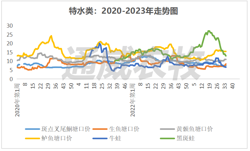 白蝦,石斑,小龍蝦都漲,鱖魚,加州,鯽魚,叉尾仍跌價_上市_規格_價格