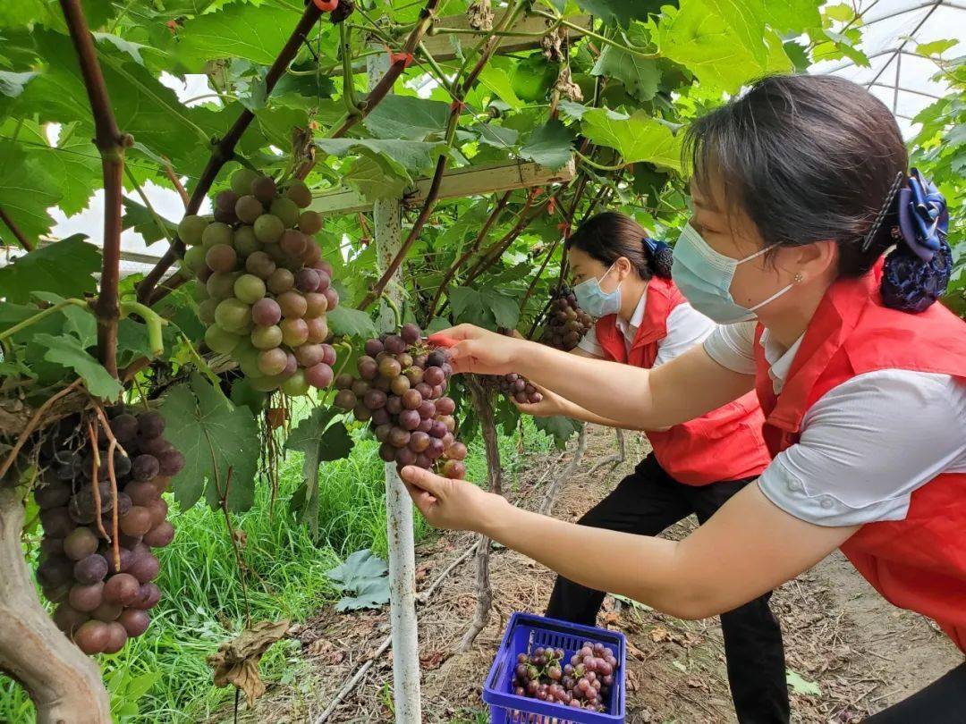 摄影:岳口所 胡俊敏摄影:珠玑所 程艳芳摄影:吴店南所 陈宇摄影:沙洋