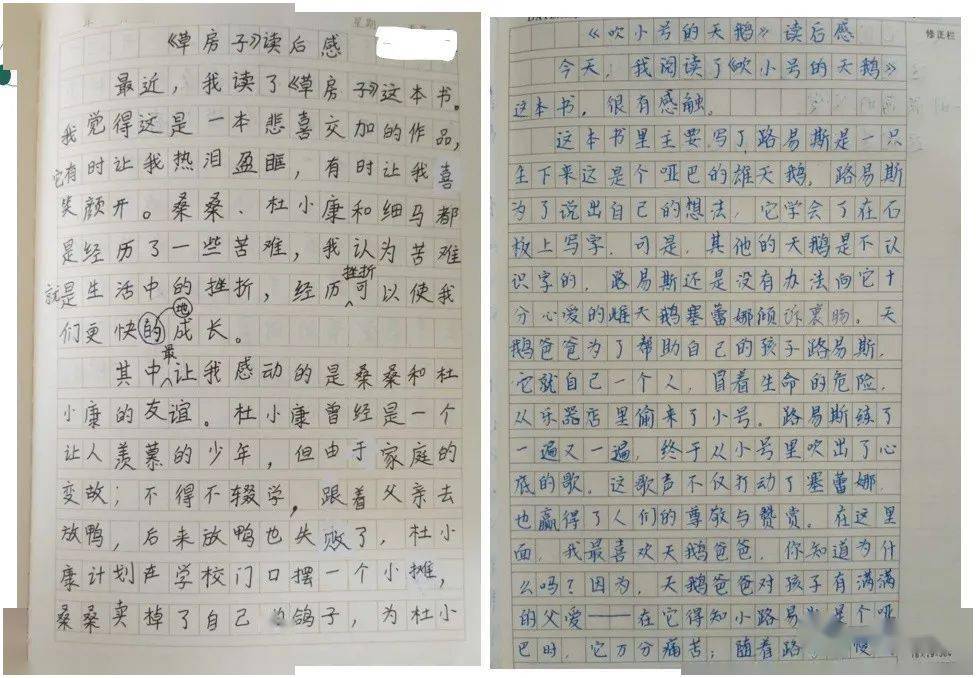 中小学生读书方法_念书的孩子观后感800_孩子不喜欢读名著的原因