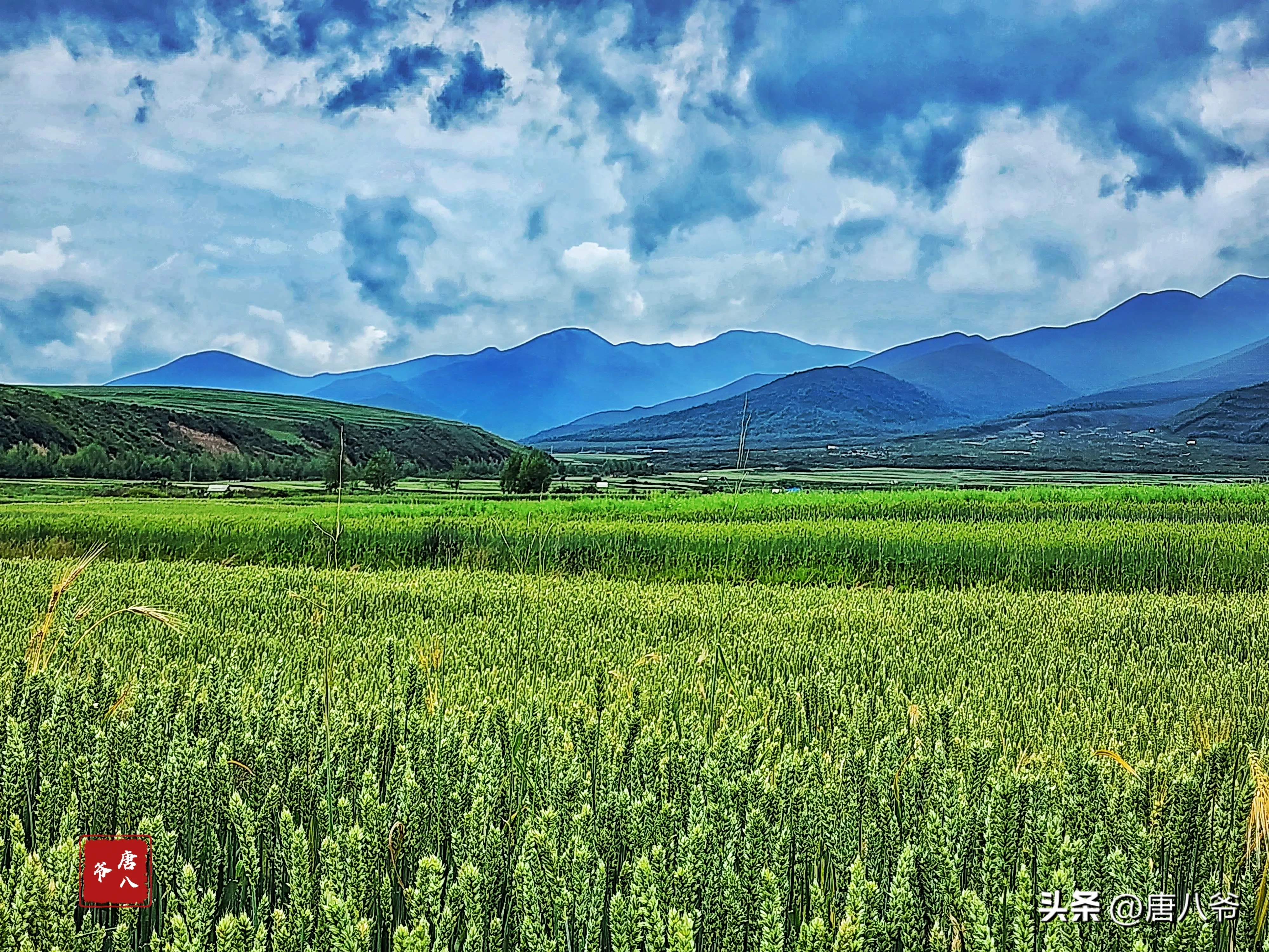 田野早晨图片