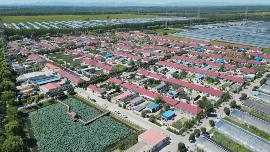 争创进行时 | 盘山县:绘就文明新画卷 谱写振兴新篇章_乡村_村民_产业