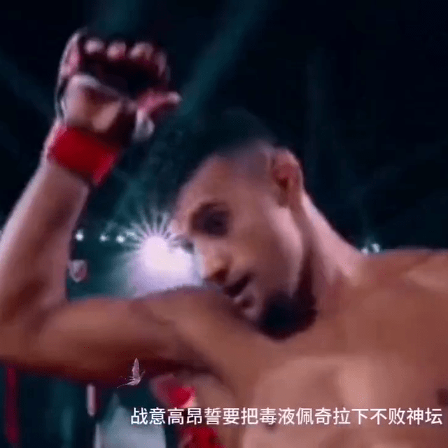 道格拉斯利马ko迈克尔佩奇#格斗ufc_比赛_裁判_选手