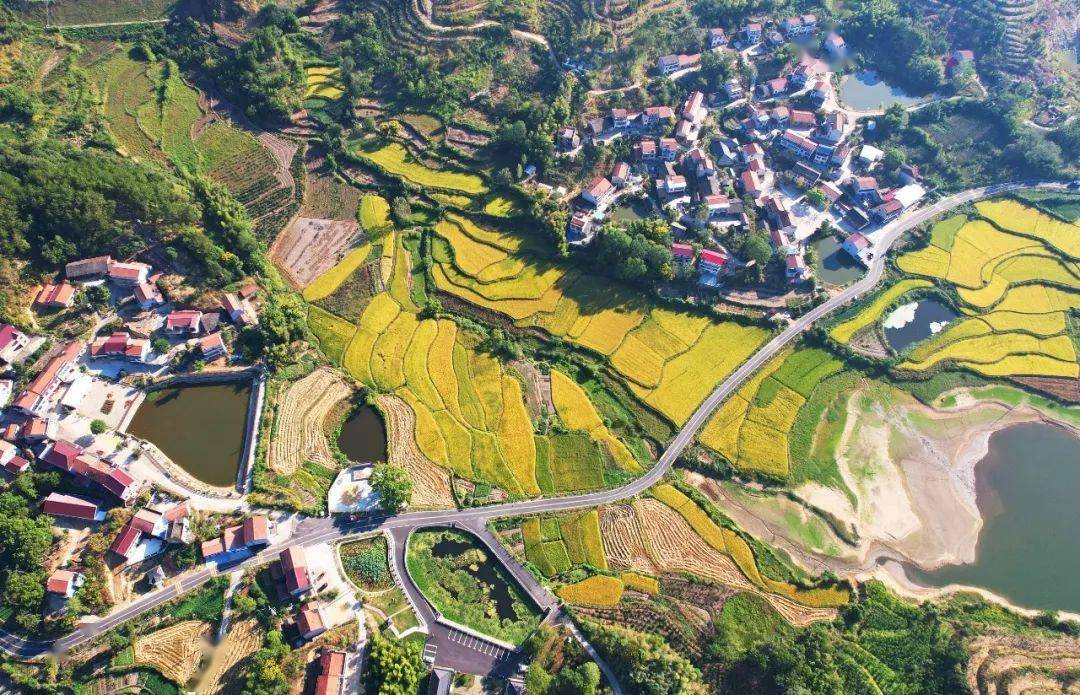 解兵基本情况:牛车河村坐落于素有"鄂东千岛湖"美誉的牛车河水库尾部