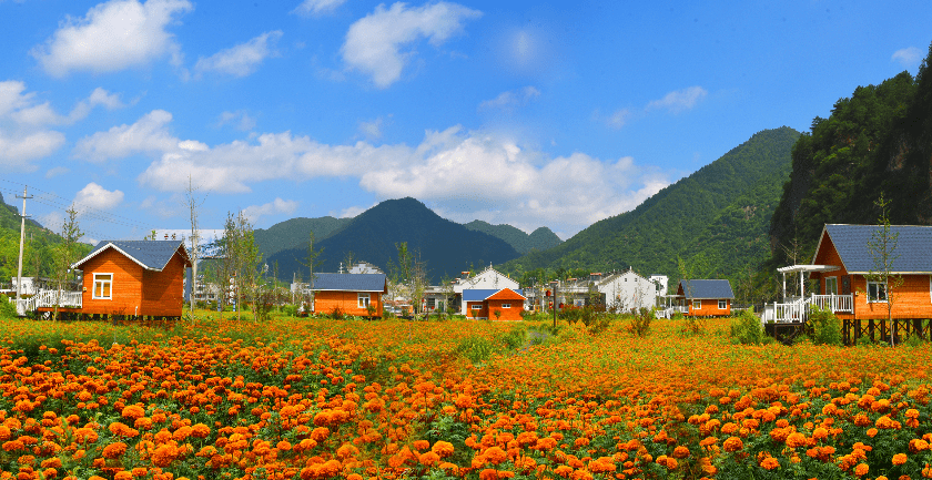 商州,洛南入选省级全域旅游示范区,商洛成全省唯一各县区均为省级全域