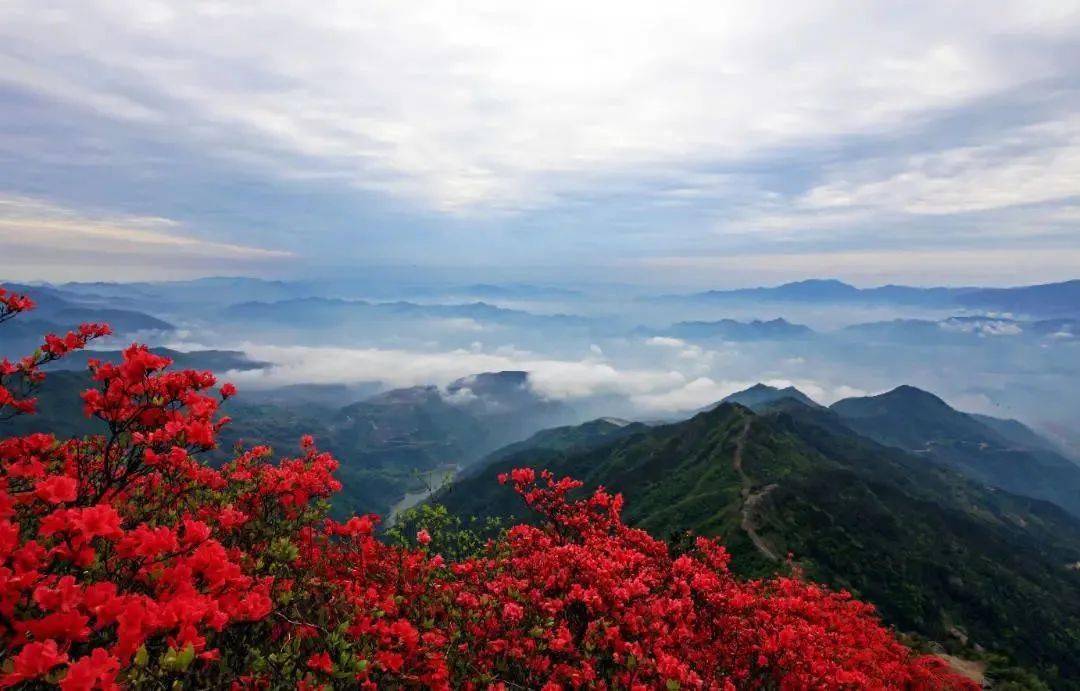 天台大雷山景区图片