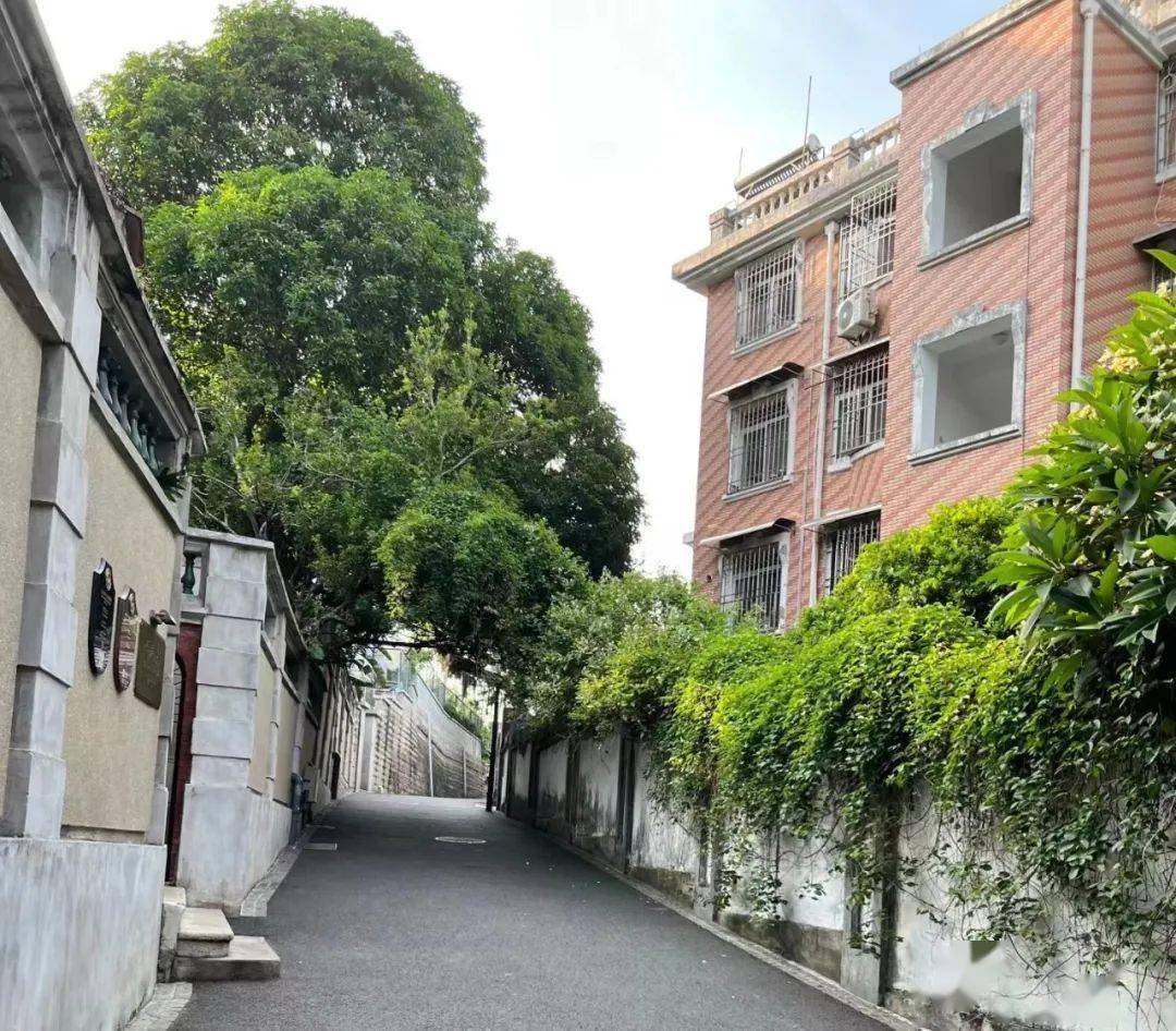 散文||香樟海岸_林巧稚_鼓浪屿_中国